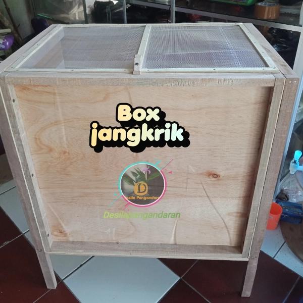 Gambar box jangkrik kotak - kandang jangkrik pakan burung portable dari desila store pnd undefined Tokopedia