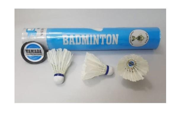 Gambar RAKET BADMINTON PEMULA SEPASANG PAKET MURAH ISI 2 PCS + TAS MURAH ANAK dari gobuystoree undefined 5 Tokopedia