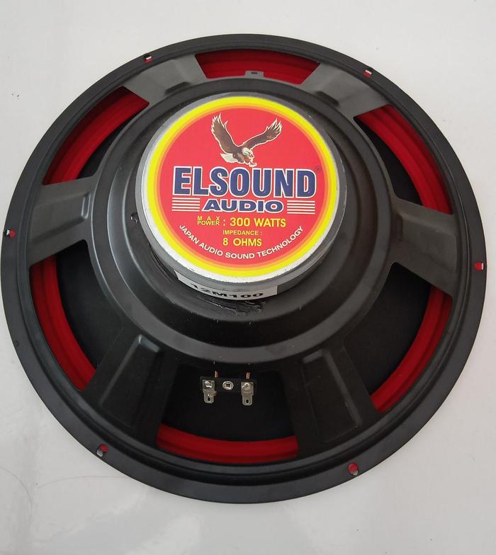 Gambar Speaker Full Range 12 Inch Elsound 12 Inch M100 dari SoundIN undefined Tokopedia