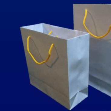 Gambar Paper Bag Putih Polos Banyak Ukuran / Tas Kertas ART Putih Perlusin - 21X25X7CM dari SuperPowers888 undefined 4 Tokopedia