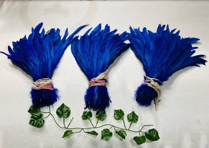 Gambar Bulu Ayam Super / 20 Pcs / Premium Warna-warni 20-30cm Dekorasi - Biru dari HR Global undefined Tokopedia