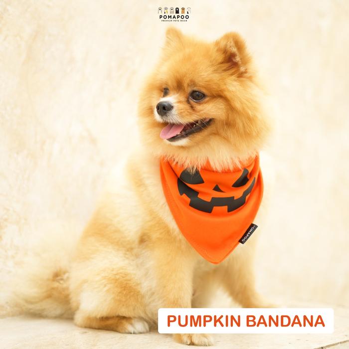 Gambar POMAPOO - Bandana Kucing dan Bandana Anjing Pumpkin Bandana - PUMPKIN, BANDANA - S dari Pomapoo Kota Bandung Tokopedia
