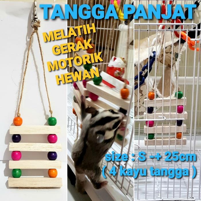 Gambar MAINAN SUGAR GLIDER TANGGA KAYU PANJAT hiasan kandang kecerdasan hewan - Small dari charlotte bowtique undefined Tokopedia