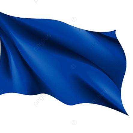 Gambar Bendera polos,bendera merah putih,bendera hitam polos,bendera putih - Biru, 163x105 dari Aksesoris kemerdekaan store undefined Tokopedia