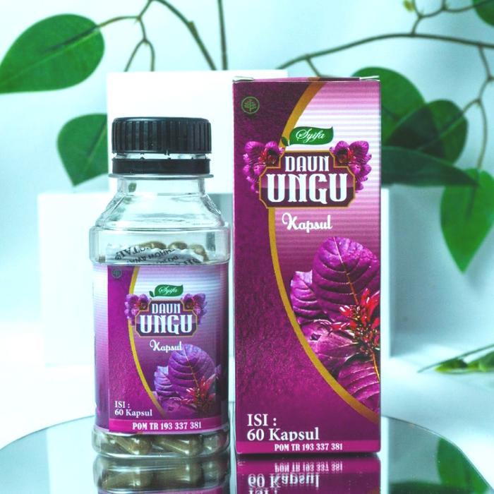 Gambar Daun Ungu/Handeleum Ekstrak 60kpl Syifa Herbal Alami Obat Wasir/ambein dari TOKO SUKSES HERBAL undefined Tokopedia