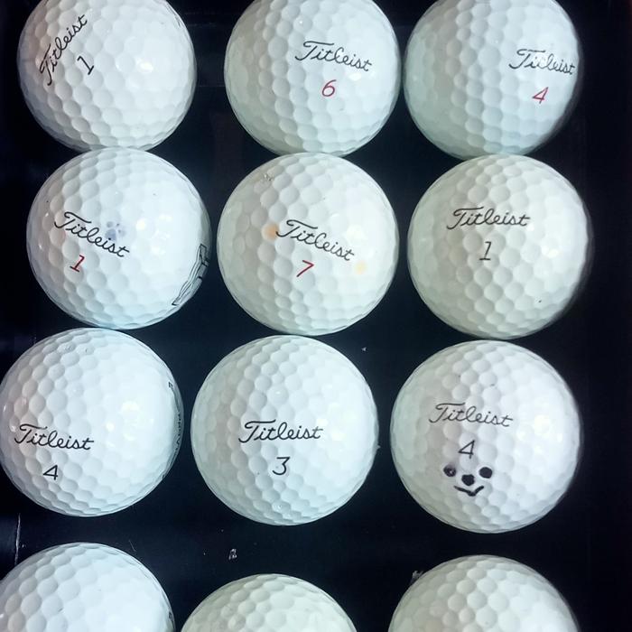 Gambar bola golf titleis pro v1 pro v1x avx murah dari dwi golf bal undefined Tokopedia