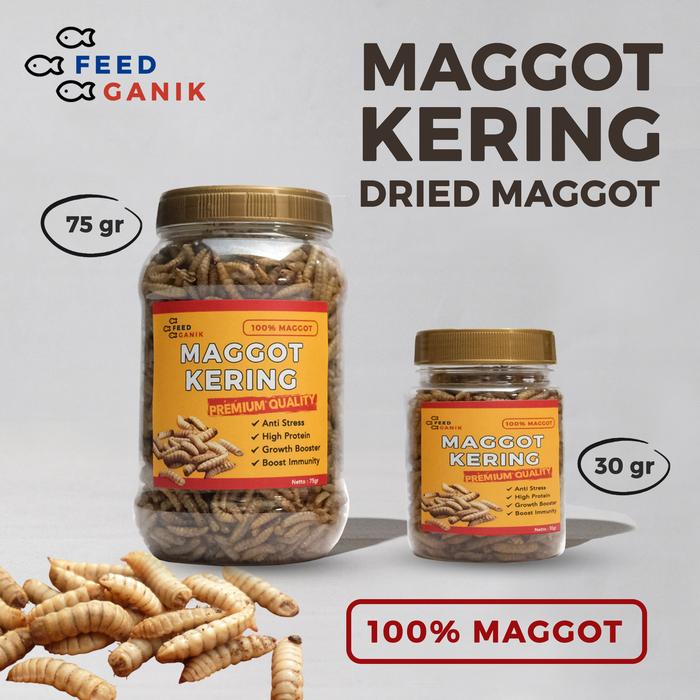 Gambar Maggot Kering BSF 30gr 75gr | Makanan Burung, Ikan, Sugar Glider, dll - 30gr dari Feedganik undefined Tokopedia