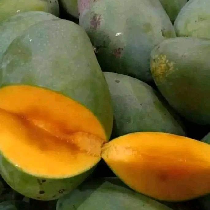 Gambar buah mangga aromanis bali setengah kilo dari Berkah sayur1sagala undefined Tokopedia