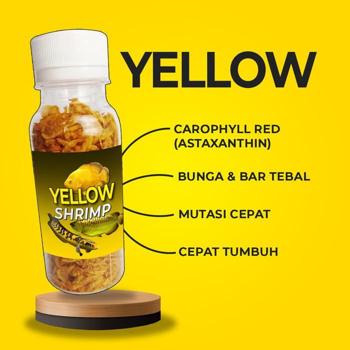 Gambar Udang Kering Pakan Ikan Channa Maru Yellow Sentarum Auranti Limbata - Kuning dari Olive Tree.id undefined Tokopedia