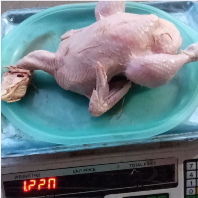 Gambar Ayam Segar Fresh 1.2 kg - 1.3 kg / 1,2 - 1,3 Utuh Kepala Ceker jeroan Bisa Req potong dari Doyan Daging Store Depok undefined Tokopedia