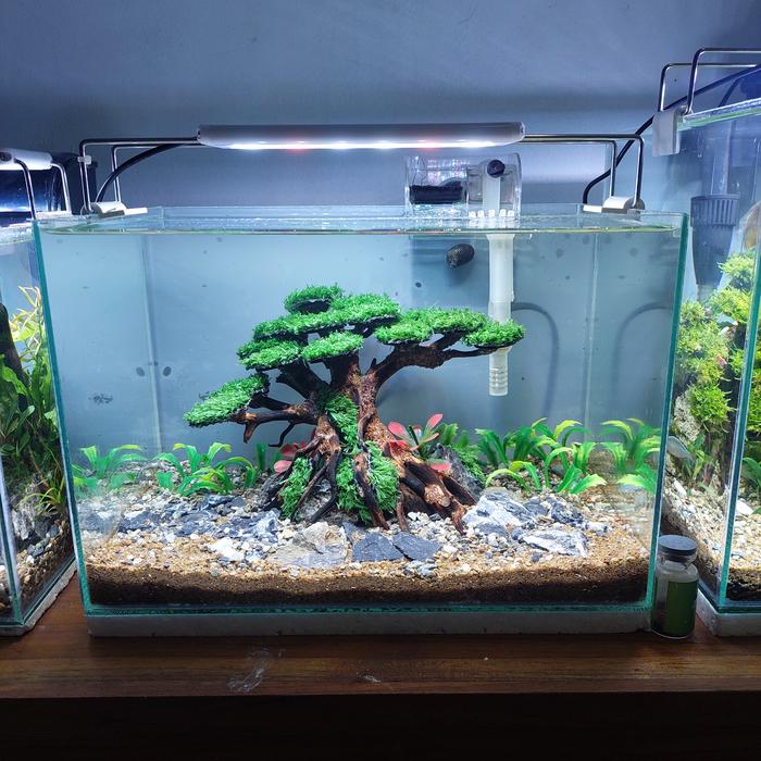 Gambar Paket Komplit Isian Aquascape Tema Bonsai Sintetis - bonsai sintetis dari AQUADIYS AQUARIUM undefined Tokopedia