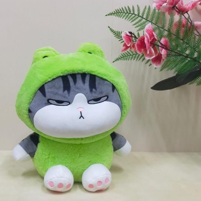 Gambar Boneka Kucing Kostum Animal/boneka furyu cat/boneka kucing lucu viral - Kodok, 17"/42cm dari PremiumBear undefined Tokopedia