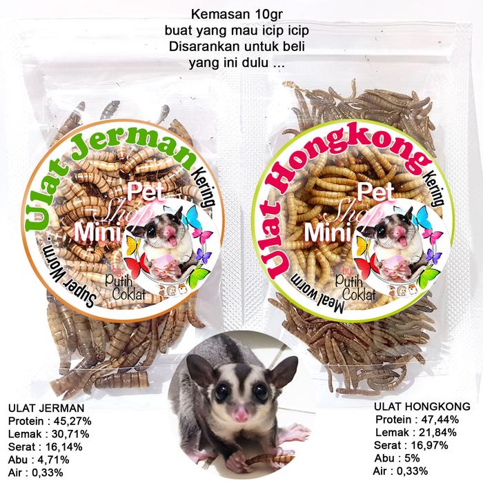Gambar HIGH PROTEIN ulat kering hongkong jerman vitamin wajib sugar glider - hongkong 10 gr dari charlotte bowtique undefined Tokopedia
