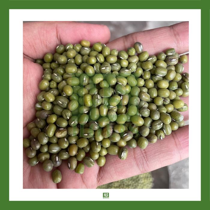 Gambar Kacang hijau yulex RRT / Australia 1kg dari Holis Hasil Bumi undefined Tokopedia