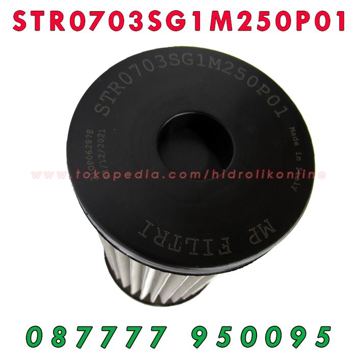 Jual STR0703SG1M250P01 FILTER MPFILTRI MP FILTRI STR0703 - Jakarta ...