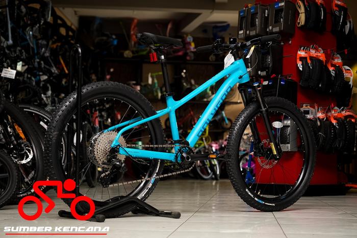 Polygon Premier Cheap Girls Mountain Bikes 24 Xc Disc Polygon