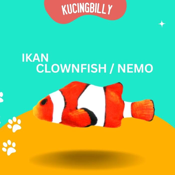 Gambar Mainan kucing - Boneka catnip ikan - Nemo dari Kucingbilly undefined Tokopedia