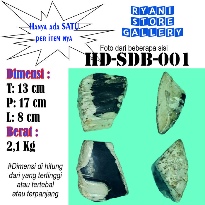 Gambar HIASAN/PAJANGAN UNIQ BATU FOSIL KAYU (PETRIFIED WOOD) - HD-SDB-001 dari Ryani Store Gallery undefined 5 Tokopedia