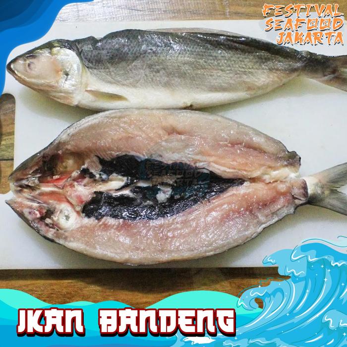 Gambar Ikan bandeng cabut duri 1Kg (Bersih tulang dan duri) Bandeng Frozen dari Festival seafood jakarta undefined Tokopedia