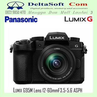 Panasonic Lumix G90m G95m Kit Lens 12-60mm F35-56 Mirrorless Camera