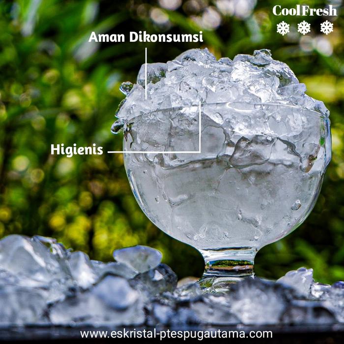 Gambar ES BATU KRISTAL DAN ES SERUT 3 KG - ES SERUT dari Es Batu Kristal CoolFresh undefined Tokopedia