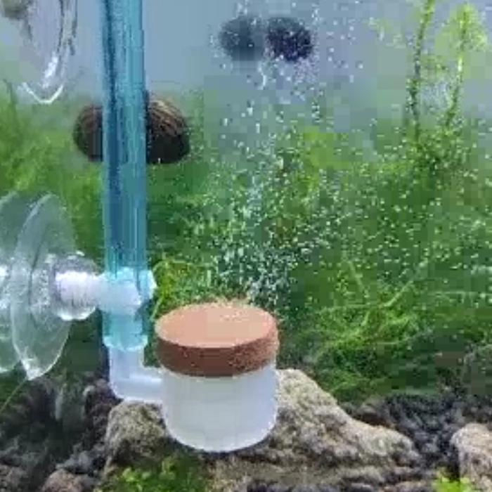 Gambar Diffuser Kramik CO2 DIY untuk Penggunaan Rumah - BENING dari Yunida Scape undefined Tokopedia