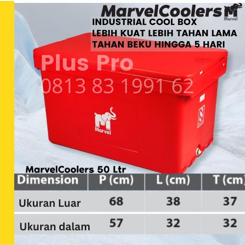 Gambar Box Ice Coolbox 100 L Cooler cool box boks es kotak pendingin - 100 L INDUSTRI dari Plus Pro 2 undefined Tokopedia