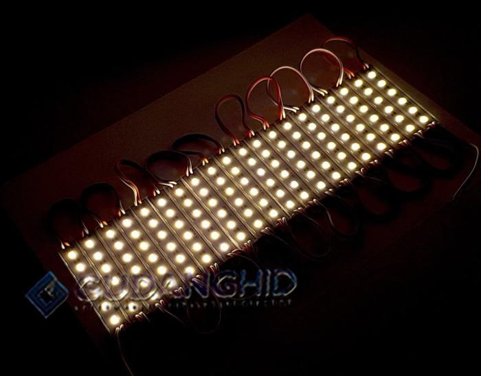 Gambar Lampu 6 Mata LED Strip Modul SMD 5630 / 5730 12V IP65 Waterproof - Wram White dari GudangHID undefined Tokopedia