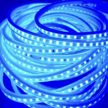 Gambar Civilite Lampu LED Strip Lampu LED Selang SMD 2835 120L(Meteran) - Ice Blue dari Levlev Lighting undefined Tokopedia
