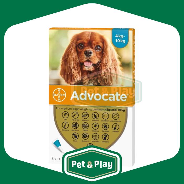 Gambar Advocate Flea and Tick for Dogs & Cat dari Pet & Play Citraland undefined 5 Tokopedia