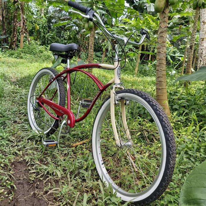 Cruiser Six Schwinn Cruiser Schwinn Cruiser Six Schwinn Hot Sale