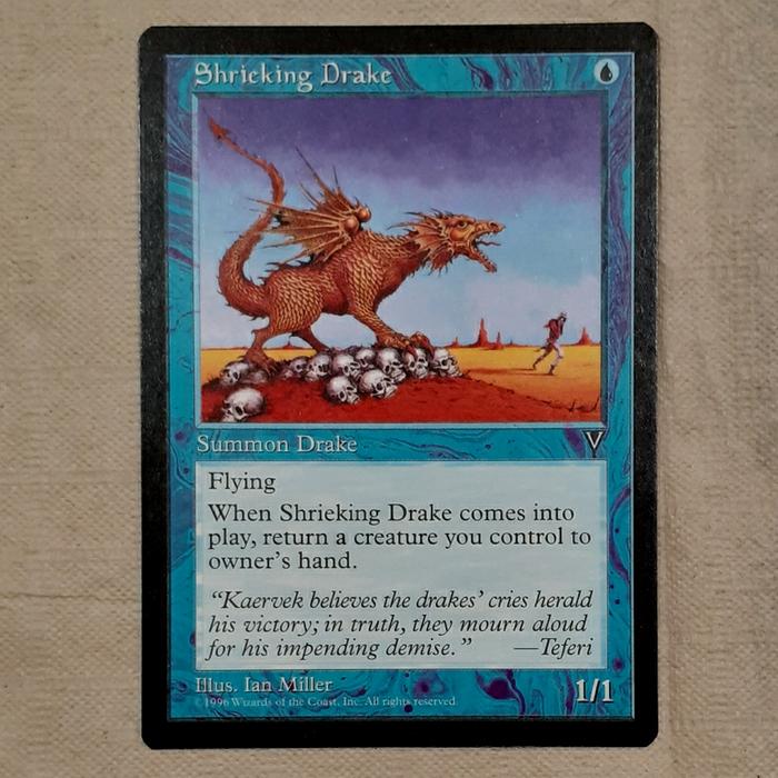 Gambar MAGIC THE GATHERING MTG Shrieking Drake dari TCG Forever undefined Tokopedia