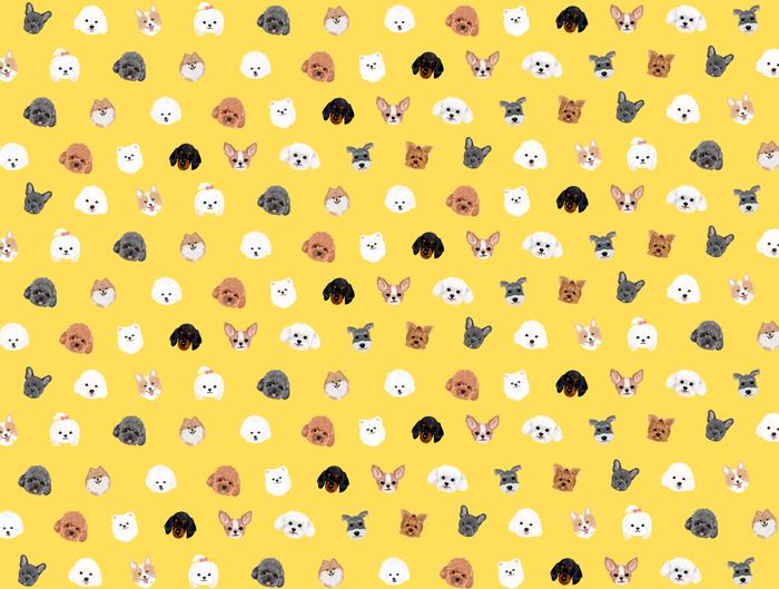 Gambar PAWPINESS.ID Mix Doggy Pet Blanket - Yellow, M dari Lush Pets Co. undefined Tokopedia