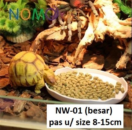 Gambar Nomoy Feeding Dish NW 01 NW 02 Tempat Makan Reptil Torto - besar dari Kurando Store undefined Tokopedia