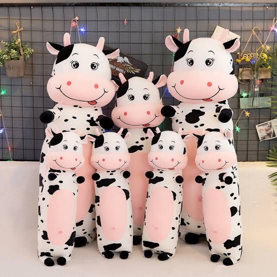 Gambar Boneka Guling Sapi 80cm Bahan Plush Import Guling Boneka Sapi 80cm - Sapi 60cm dari Diary Boneka undefined Tokopedia