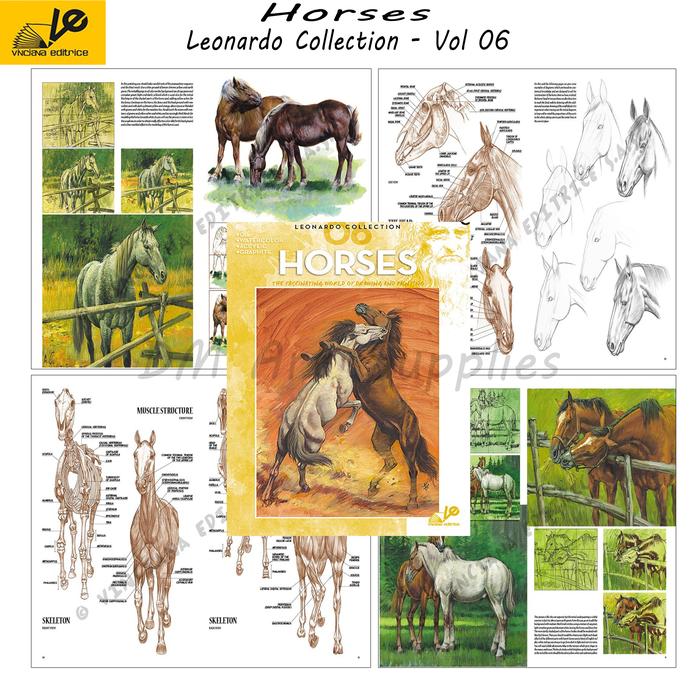 Gambar ALBUM LEONARDO COLLECTION - Drawing-Vol 02 dari DMartsupplies undefined 4 Tokopedia