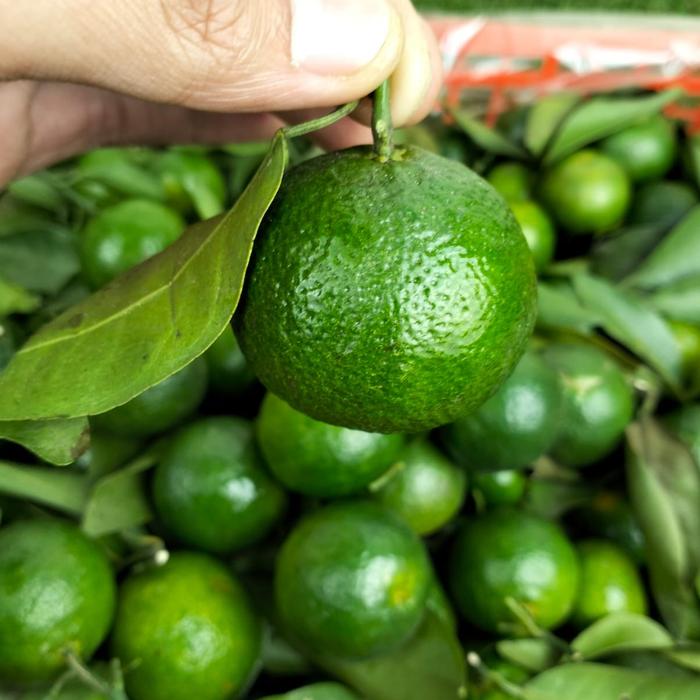 Gambar jeruk santang madu hijau fresh manis per 1 keranjang/box dari toko buah segar albarokah undefined Tokopedia