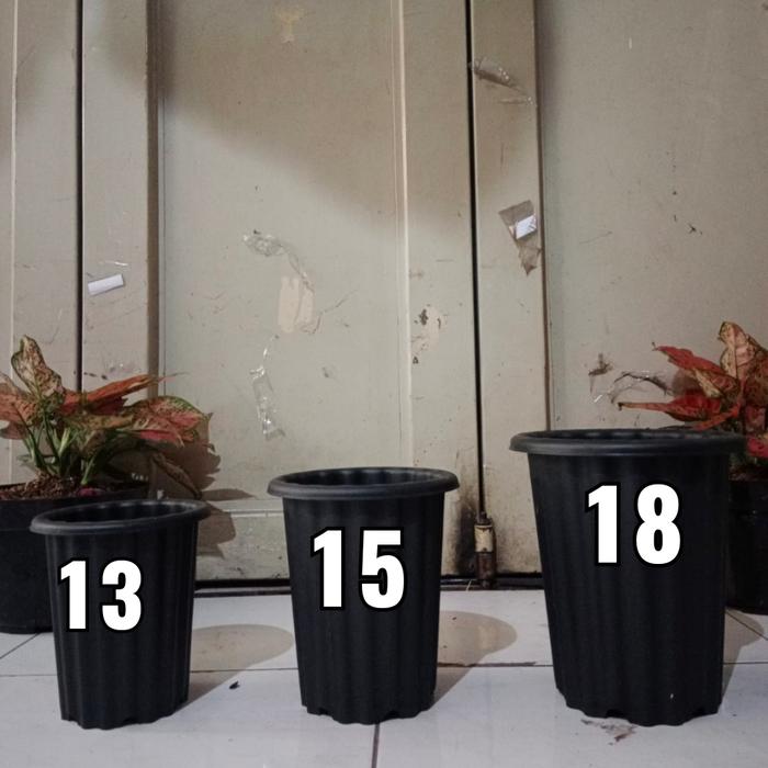 Gambar pot tinggi model yogap, pot Swiss warna, pot bunga tinggi, aglonema - Hitam, 13 dari Asean Mt64 Bandung undefined Tokopedia
