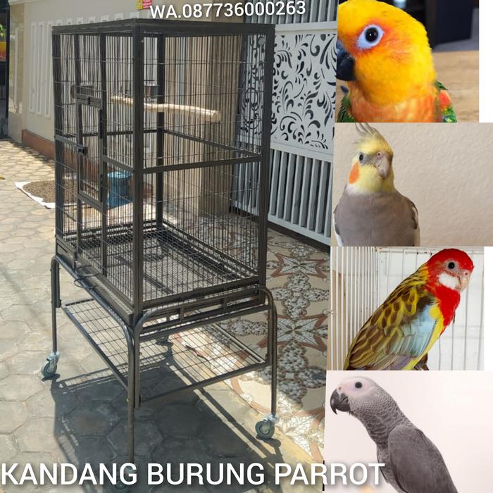 Gambar Kandang Putih untuk Burung Small Medium dan Large Parrot - Hitam dari Solo Parrot undefined Tokopedia