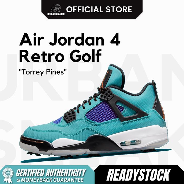 torrey pines jordan 4