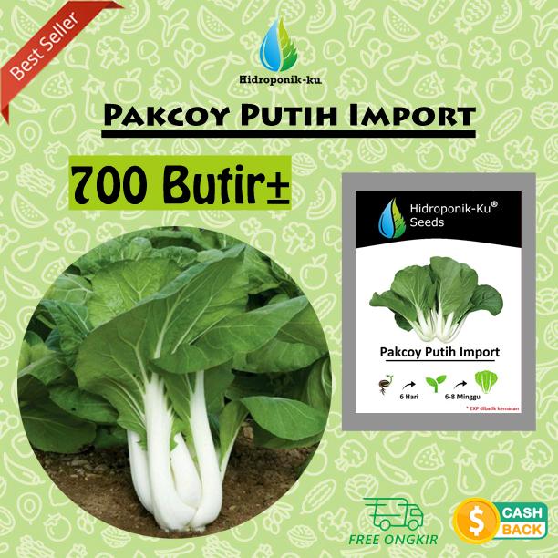 Gambar Bibit/ Benih Pakcoy Putih 2gr ( 700 biji) Hidroponik Ku dari Hidroponik Ku undefined Tokopedia