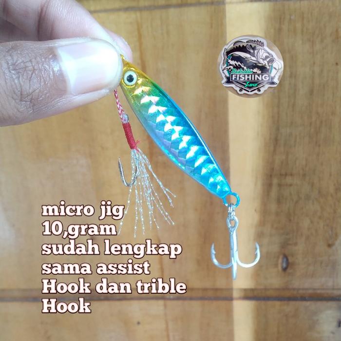 Gambar micro jig 10 gram - Biru dari Badridin fishing undefined Tokopedia