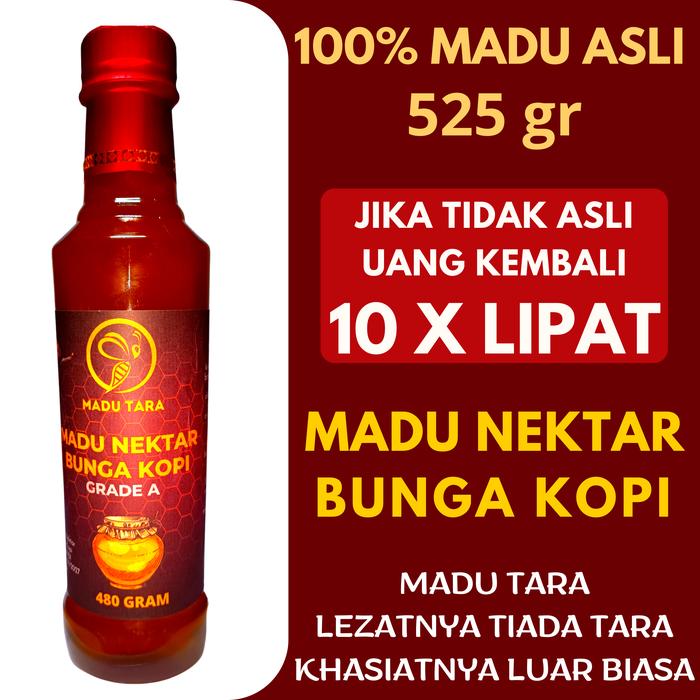 Gambar MADU NEKTAR BUNGA KOPI 100% ASLI MENTAH MURNI RAW PURE HONEY MADU TARA - 525 gr dari madu tara indonesia undefined Tokopedia