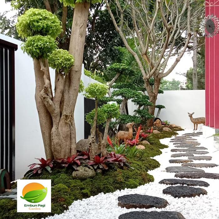 Jual Pembuatan Taman dan Dekorasi Taman Minimalis,Taman Kering,Taman