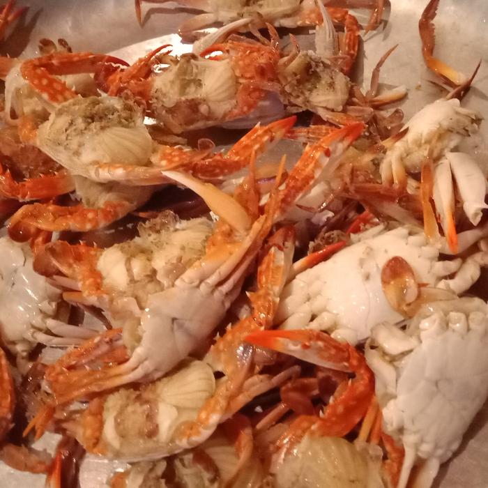 Gambar rajungan baby kecil kepiting dari Samudrapasar undefined Tokopedia