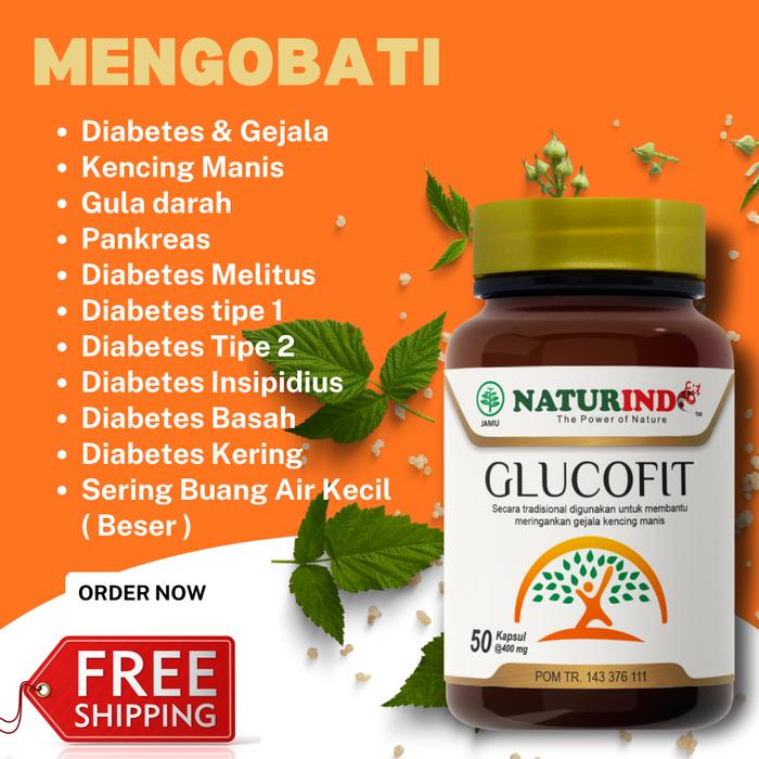 Gambar Obat Diabetes Herbal Gula Darah Tinggi Kapsul Insulin Glucofit Bio - Gula Darah dari Pt Naturindo Surya Niaga Obat Herbal undefined Tokopedia