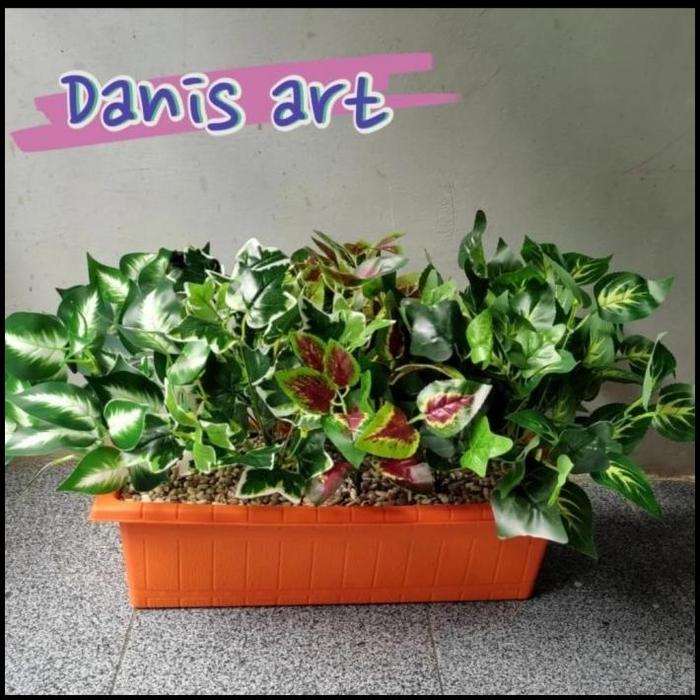 Gambar Promo Set Planter Box / Wood Planter Box / Pot Kotak Kayu Tanaman - Box Plastik dari rosalie shopp undefined Tokopedia