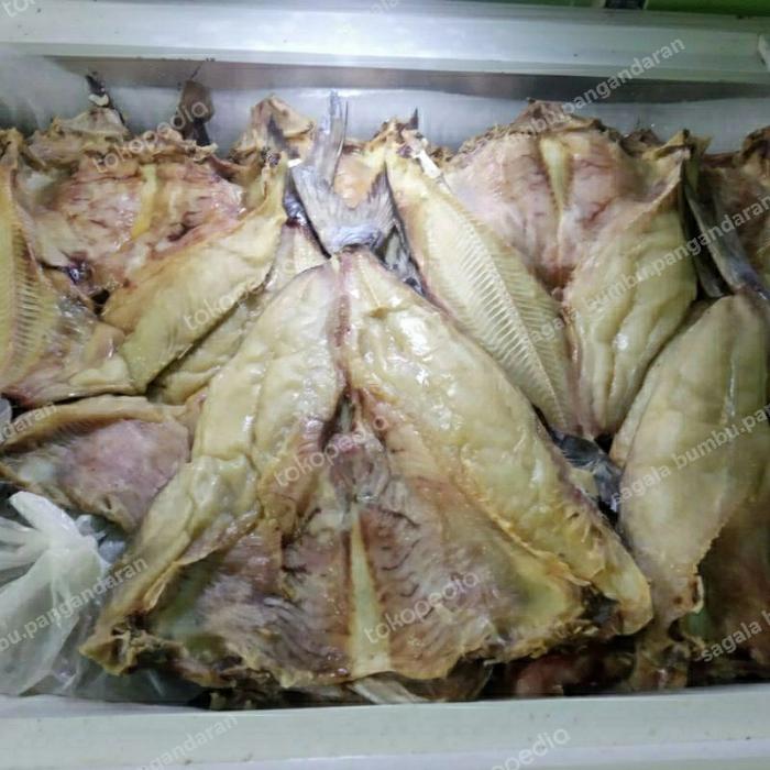 Gambar IKAN JAMBAL ROTI SUPER PREMIUM KUALITAS NO.1 PANGANDARAN dari sagalabumbu.pnd undefined Tokopedia