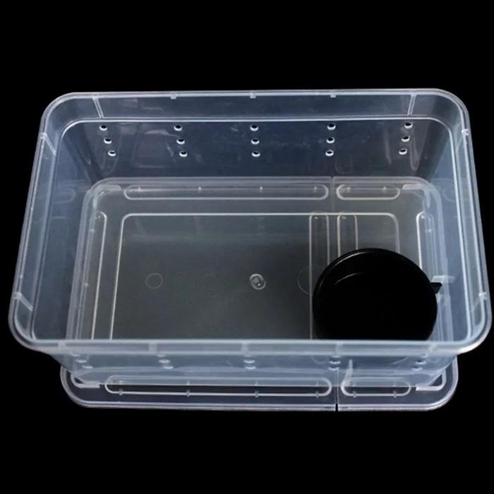 Gambar Nomoy pet feeding Breeding box untuk reptile, serangga, ampibi - H3, Putih Bening dari zumara shop undefined Tokopedia