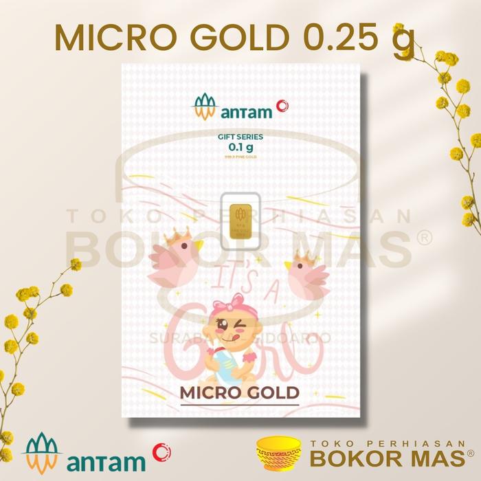 Gambar LOGAM MULIA MINI / MICRO GOLD EMAS 24K HARTADINATA X ANTAM 0.25 GRAM - Baby Girl Bird dari BokorOfficialStore undefined Tokopedia